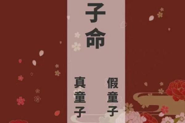 童子命与哪种命相配最好？揭开命理之谜！