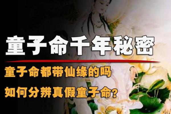童子命与哪种命相配最好？揭开命理之谜！