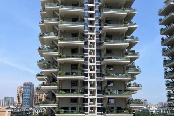 五楼适合什么命的住房：揭示五楼的神秘魅力与居住价值