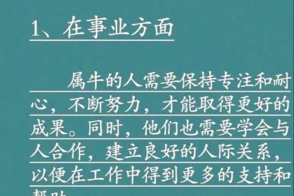 五十岁牛命：岁月沉淀的智慧与力量