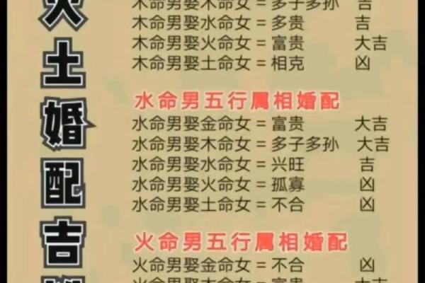 土命与金命：如何选择理想楼层提升生活质量
