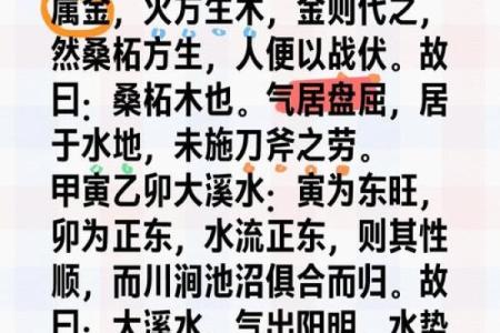 辛亥女命的水命与木命解析:揭示命理的奥秘与人生方向