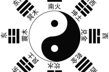巽命与卦命的完美融合:探寻命理背后的和谐之道