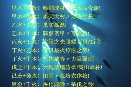 探秘五行:水与木命的幸福之道