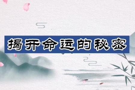 为什么我的命远没别人好?探寻命运背后的秘密与反思