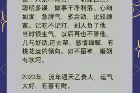 五行八十四年:属鼠人的命运与人生哲学探寻