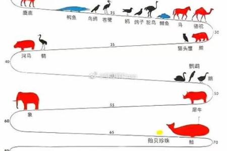 探索长流水命的奥秘:揭示属于你的动物象征与命运之道