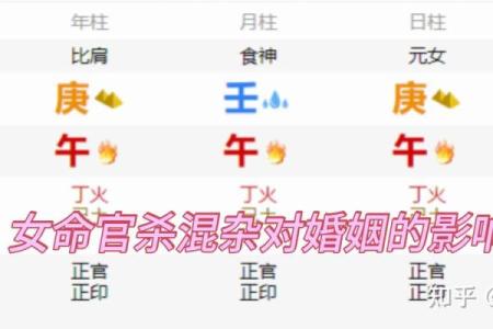 探索木狗1994命:命理与性格的奇妙交汇