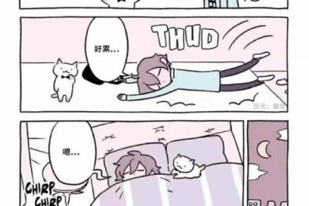 为什么九命猫只有两条命?探索猫咪的奇妙传说与科学原理