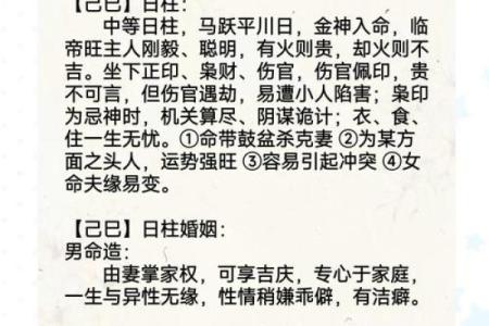 探索巳时出生者的命运与属相解析:揭秘你的命格之谜!