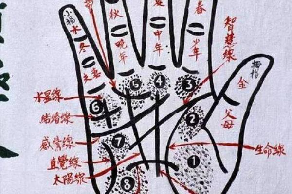 五水三木命格的深度解析与人生启示