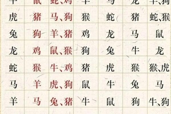 天秤女的命运解析：哪些生肖与她们最为相合？