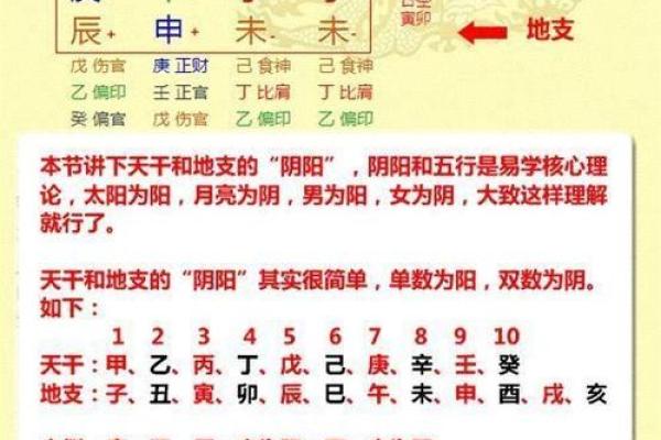 兔牛五行命理解析：探寻命中的多重智慧与能量