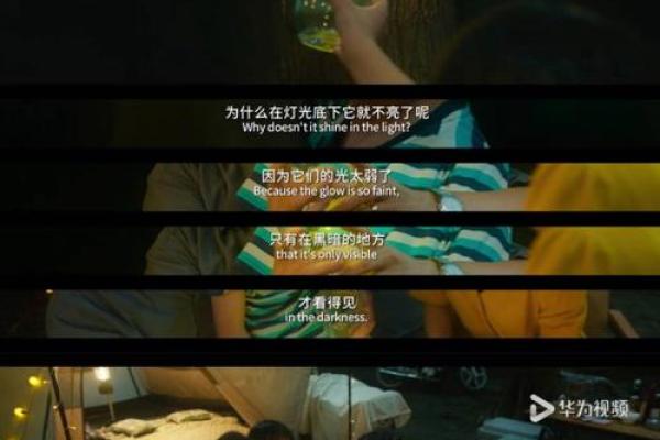 以命换命：生命的代价与宿命的交错