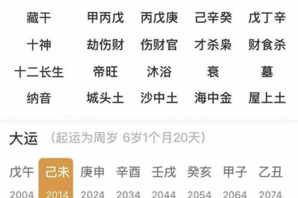 探索壬戌癸亥大海水命的命理特征与相忌分析
