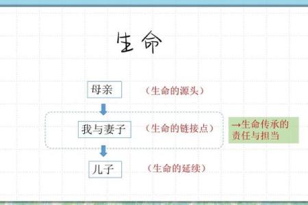 长命与短命:探索生命的奥秘与秘诀
