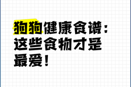 相依为命的狗狗:选择适合它们的健康饮食指南