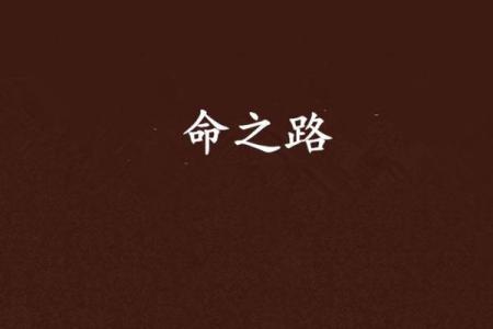 钟离加命之路:如何获得梦想中的命之物?