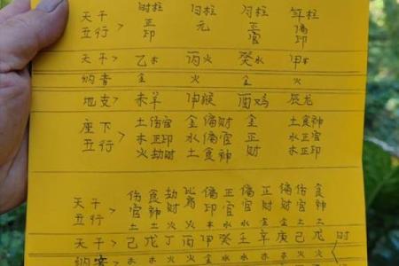 酉时出生的人五行属性解析：揭示命运的奥秘与人生路径