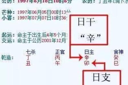 探寻日支五行:命局健康之钥匙与病因分析