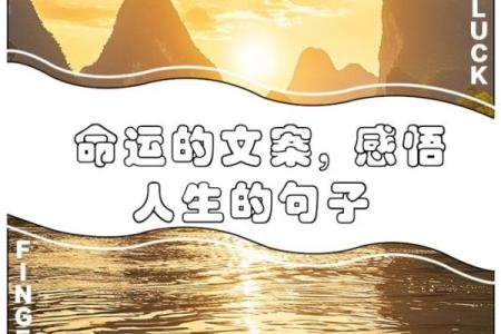 辛巳年六月十一:命运的符号和人生的指引