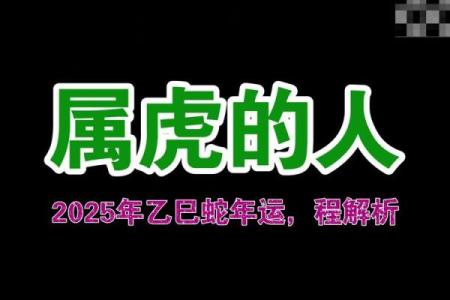 一九八六年虎命:解析属虎之人的命理特点与生活智慧