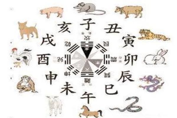土命猴开车颜色选择：与命理相辅相成的智慧之选