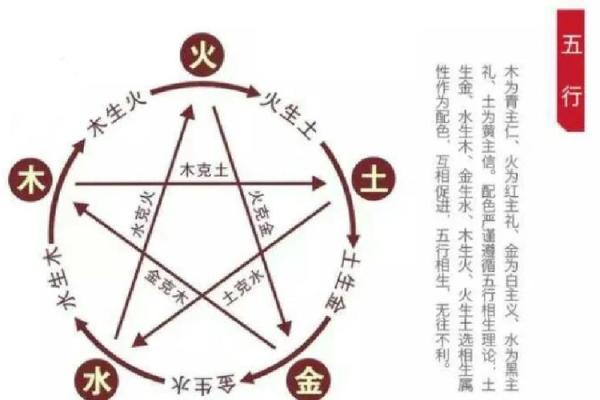 土命鼠的人生方向：最适合的职业选择与发展策略