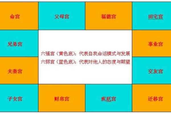 紫微命理：为何适合你开启命理学的智慧之门？