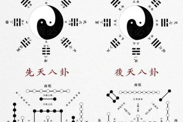 土命与金命的区别：探秘五行之中命理的奥秘
