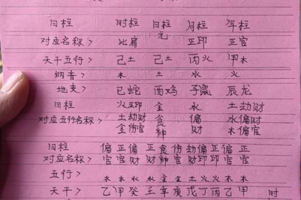 天干地支算卦解命：探索命理的奥秘与智慧