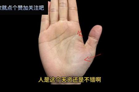 掌纹中多两条长线,揭示你不一样的命运之路!