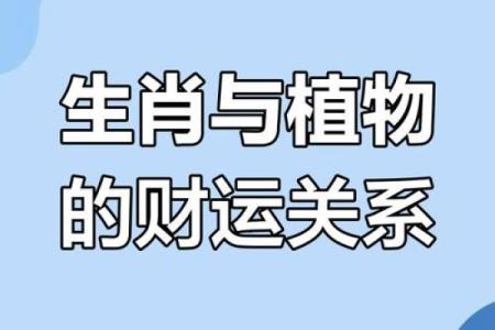 旺盛生命力与牛木命:选用适合的客厅植物提升运势