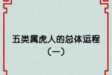 阳历五月出生的虎年属相命运解析:揭示你的性格与人生轨迹