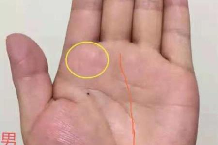 探索男人右手金命纹的神秘寓意与人生影响