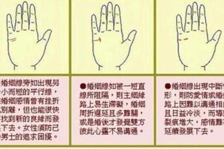 透视手纹:婚姻、财运与命格的深刻联系