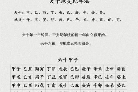 天干地支算卦解命：探索命理的奥秘与智慧