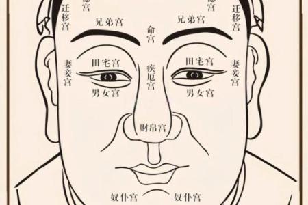 探秘生辰八字：火命之人特质与运势分析
