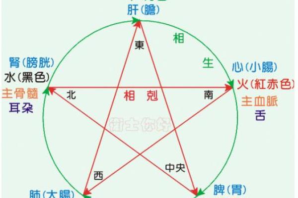 土命与木命的深层次解析：命理中的平衡与和谐之道