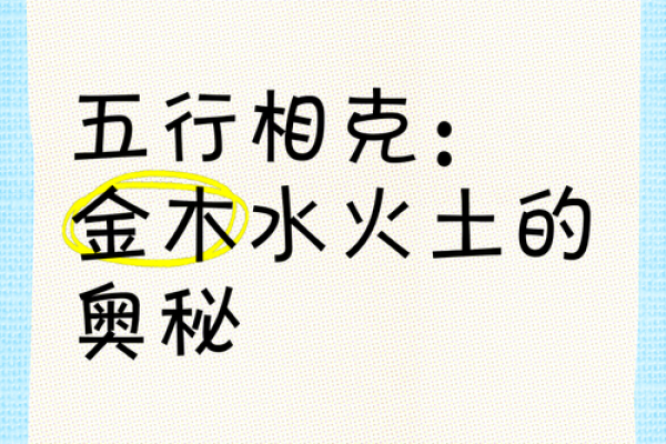 五行属金石榴木命的奥秘与启示