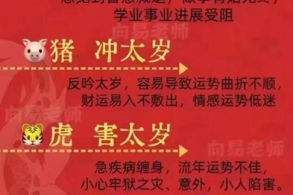 五行属金石榴木命的奥秘与启示