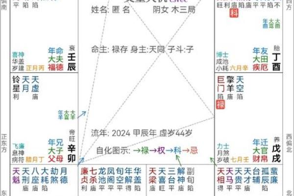 为什么1997年是水命的一年？浅谈命理与人生轨迹的关联