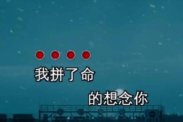 在思念中挣扎：《我拼了命却想念你》的情感世界