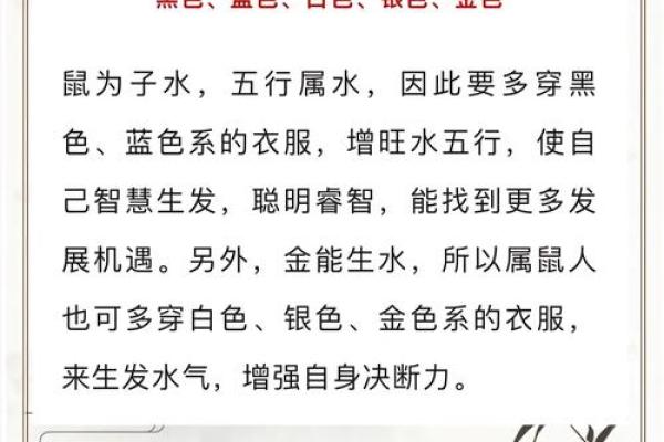 探索阴阳之道：一九八五年属鼠女性的命理解析与人生启示