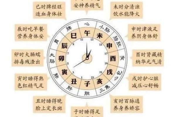 通过生日时辰解析五行命理，揭示你的命运密码！