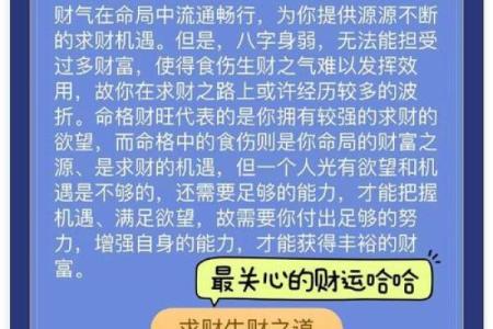探索木牛之命的搭配:寻找适合共生的命格之路