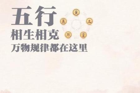 五行与命格:探寻平衡之道,让生活焕发新生机
