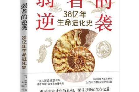 探索命理机关之命:揭示生命背后的神秘力量