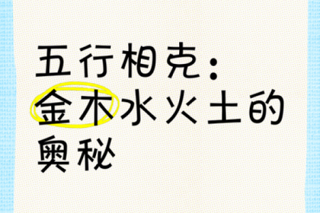 五行属金石榴木命的奥秘与启示