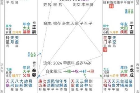 为什么1997年是水命的一年?浅谈命理与人生轨迹的关联